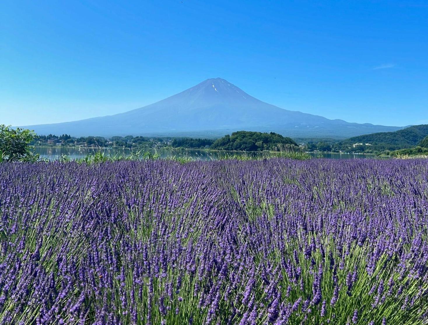 Moonlightvilla 河口湖大橋 富士河口湖 外观 照片